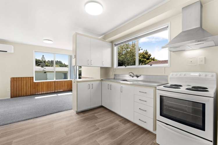 6 Karina Place Glen Eden_9