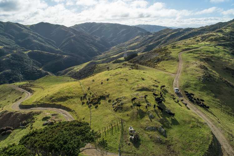 200 Parkvale Road Wilton_14