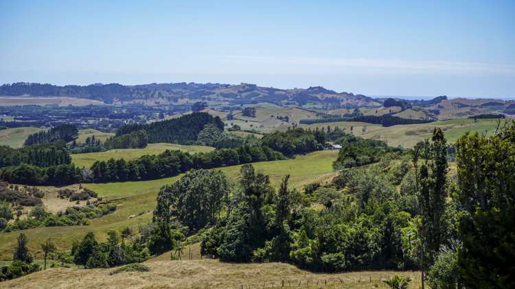43b Walls Road Waihi_13