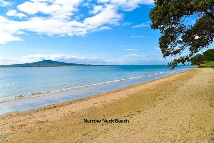 5 Morrison Avenue Narrow Neck_14