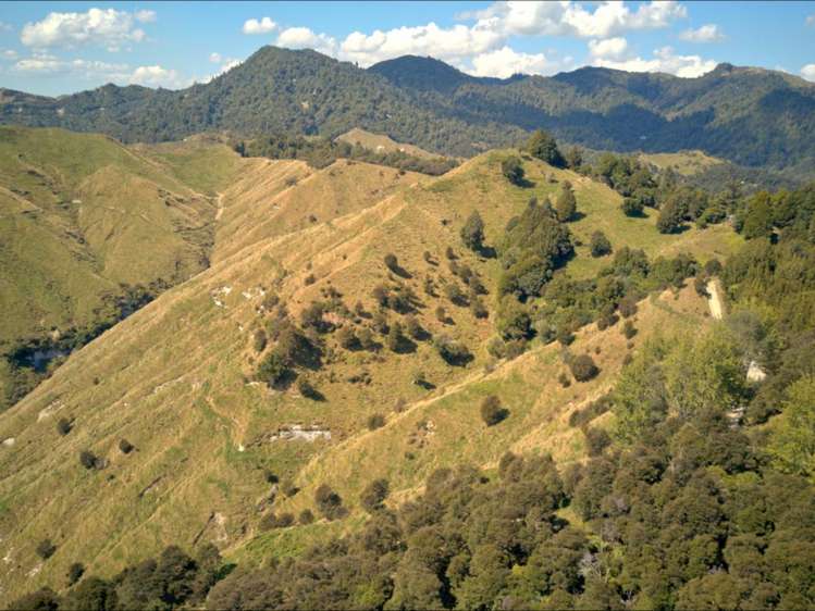 637 Makakahi Road Ruatiti_25