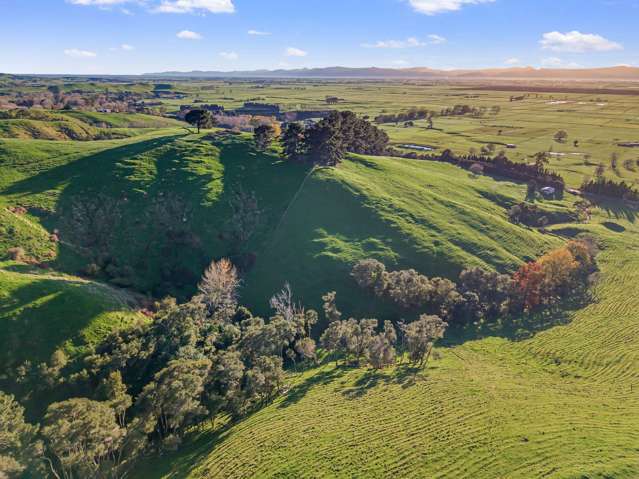 556 State Highway 27 Lot 2 Kaihere_2