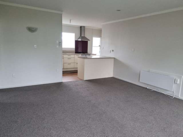 4B Hinau Street 2752_4