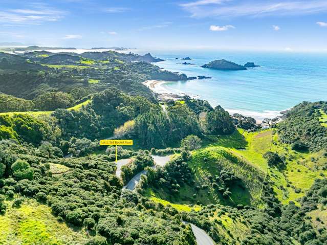 Build Your Dream - Ocean Views, Min Covenants