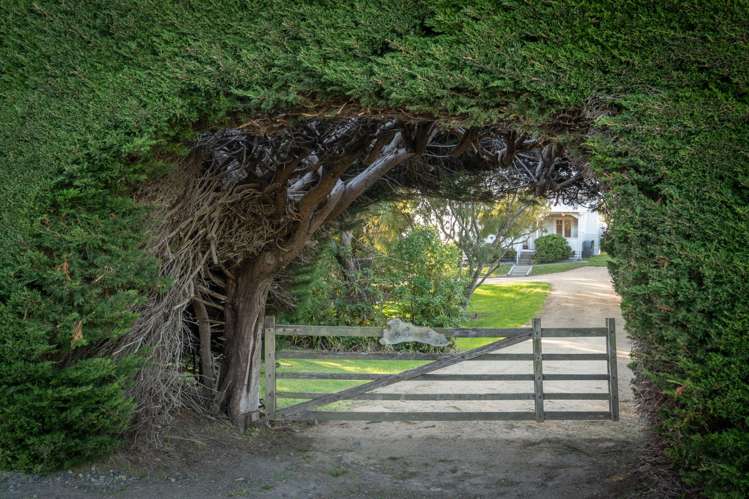 6 Harris Street Karitane_24