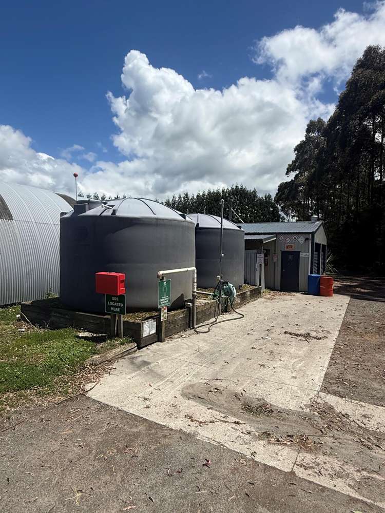 80 Roydon Downs Road Paengaroa_15