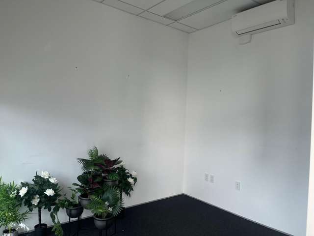 20 Fitzherbert Avenue Palmerston North Central_2