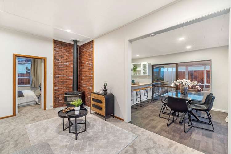 18 Austin Street Sydenham_11