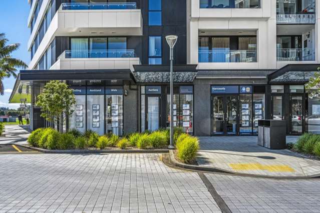 223 Greenlane West Epsom_1