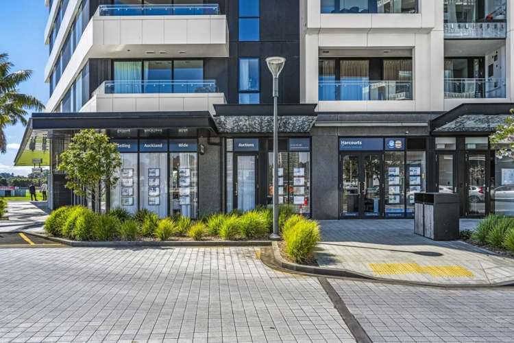 223 Greenlane West Epsom_1