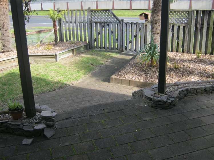 87 Domain Road Tauranga_15