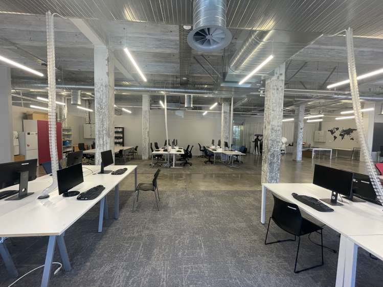 24 Balfour Road Parnell_11