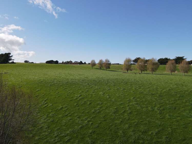 592 Pinfold Road Woodville_10
