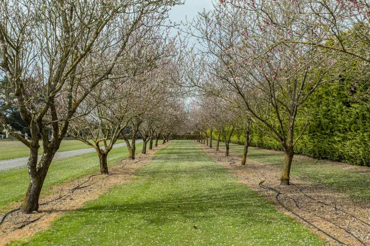 805 Downs Road West Eyreton_10