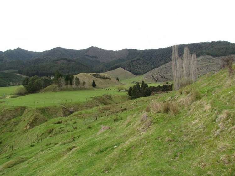 162 Owen Valley East Road Kahurangi National Park_2