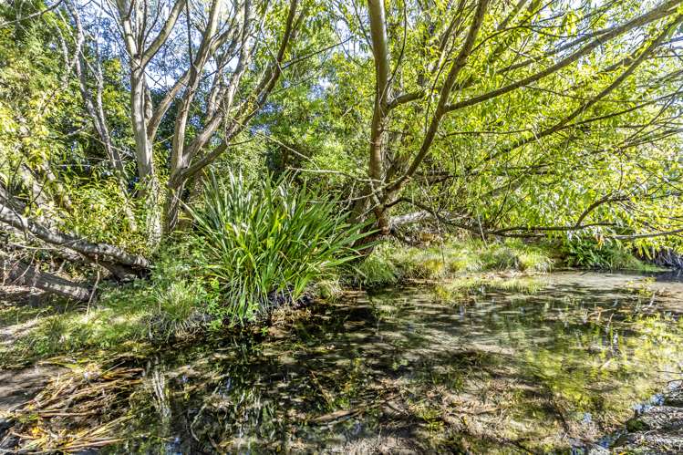 21 Bidwell Place Hillmorton_19