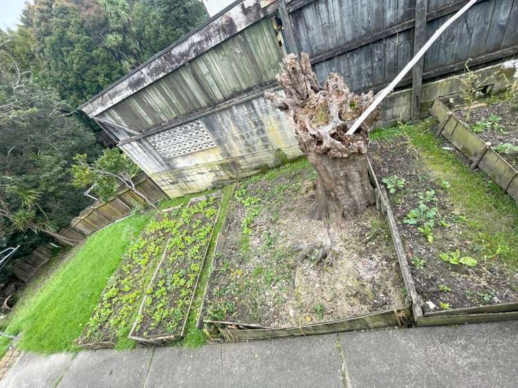 76 Fitzwater Place Henderson_9