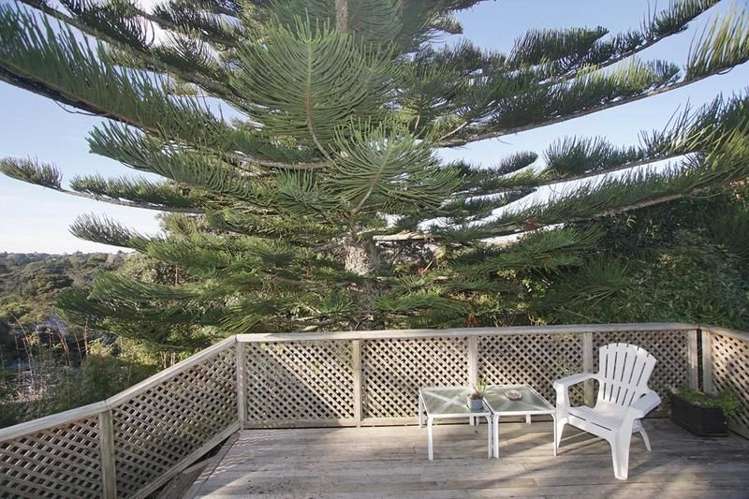 11 Glenwood Avenue Birkenhead_17