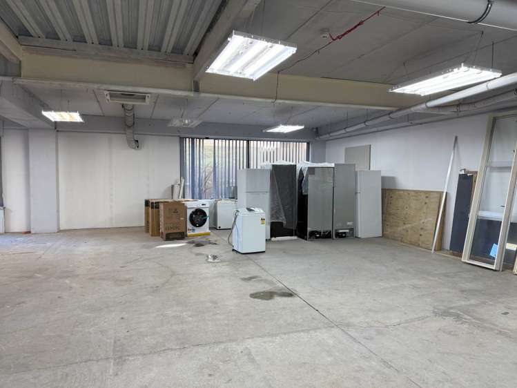 127 Newton Road Eden Terrace_4