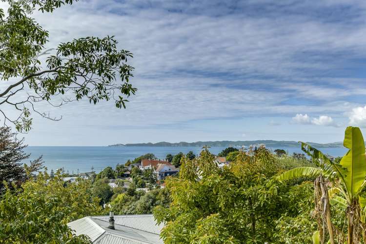 4 Fitzroy Road Bluff Hill_16