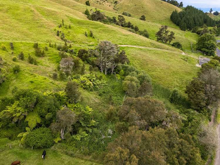 10 Te Miro Road Te Miro_9