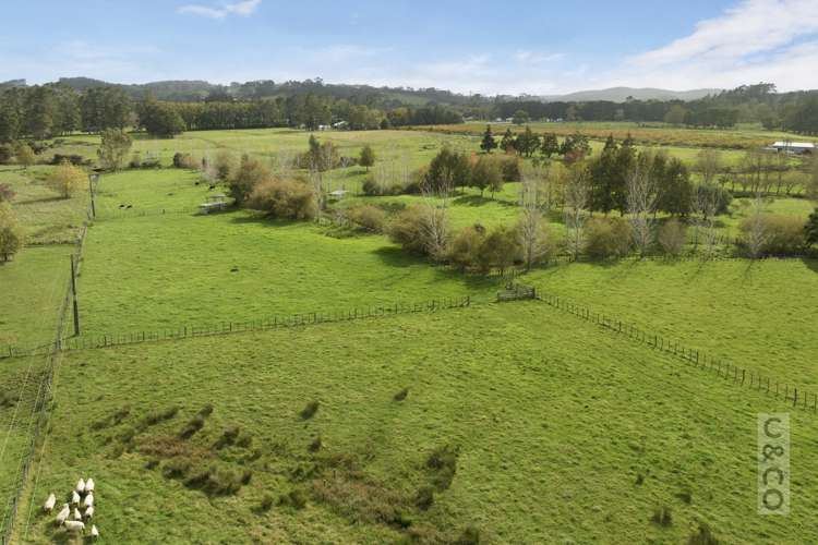 293 Ararimu Valley Road Helensville_37