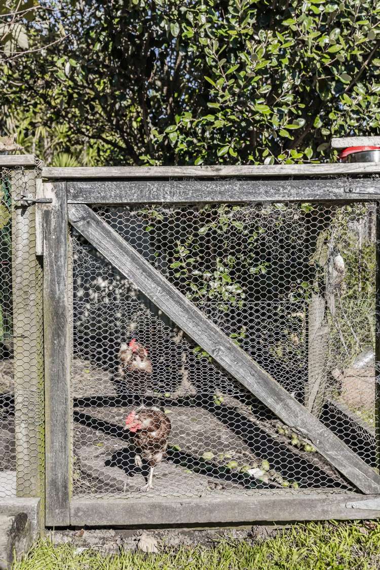 41 Grand Drive Remuera_14