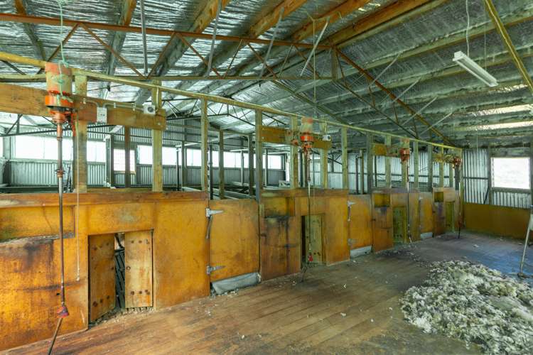 830 Ridge Road Pohangina_9