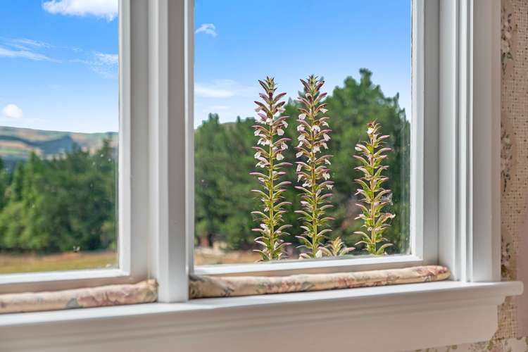 209 Ettrick Road Ettrick_15