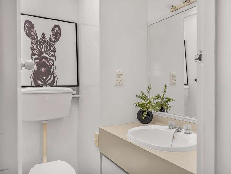 9 Dunrobin Street Waverley_25