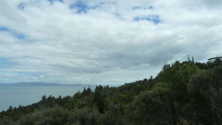 45 Otuturu Crescent Thames_5