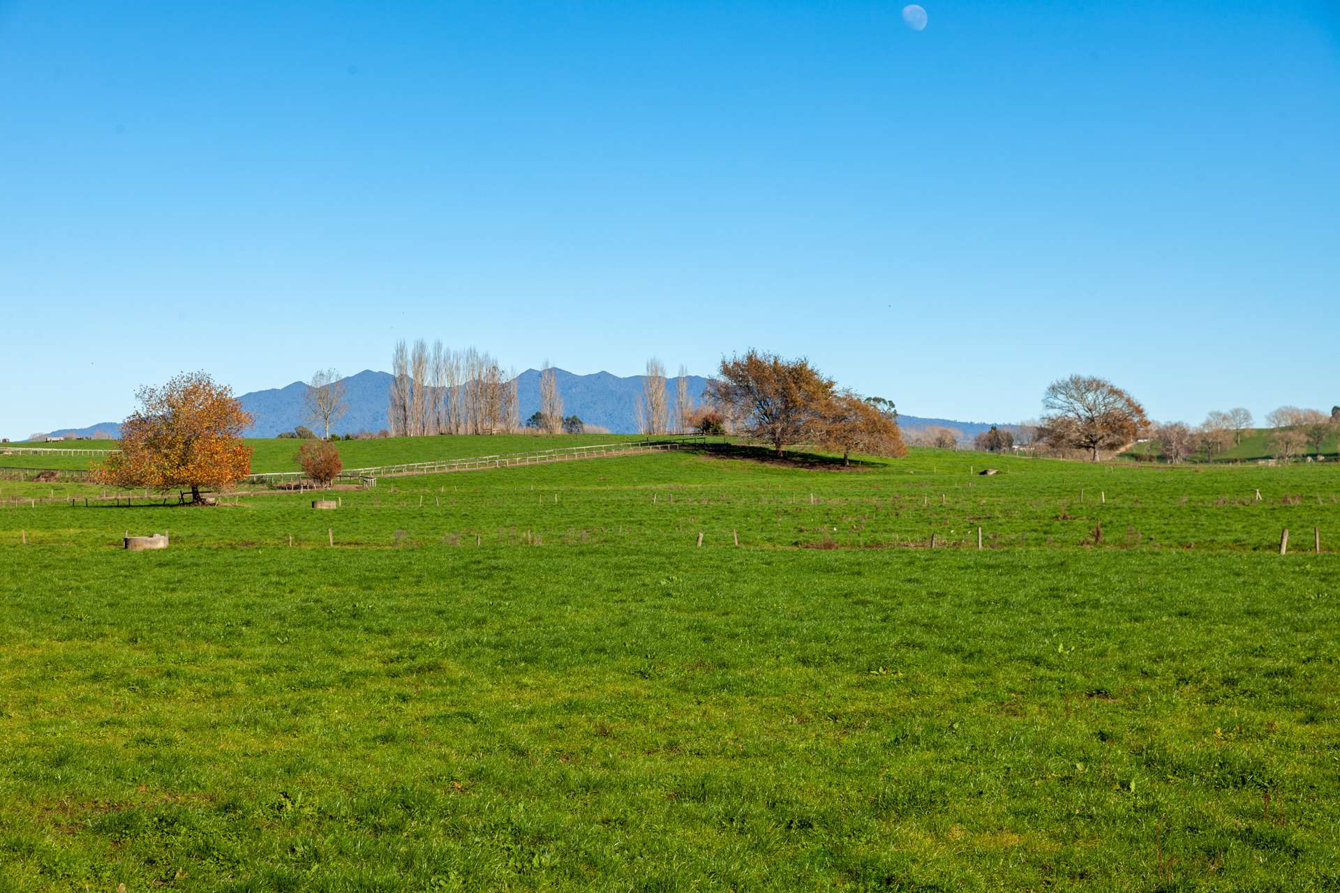 1/69 Douch Road Ohaupo_0