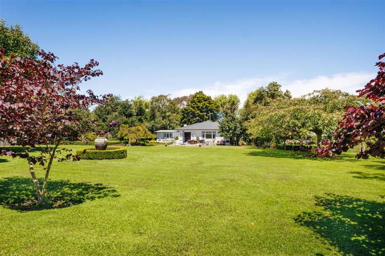 189 Griffins Road Marton_35