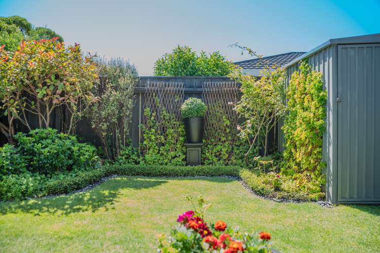 36a Ellesmere Avenue Miramar_16