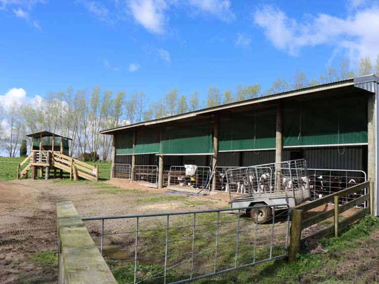 2237 Old Taupo Road Putaruru_6