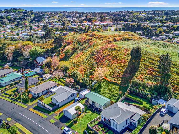 71 Oranga St Westown_25
