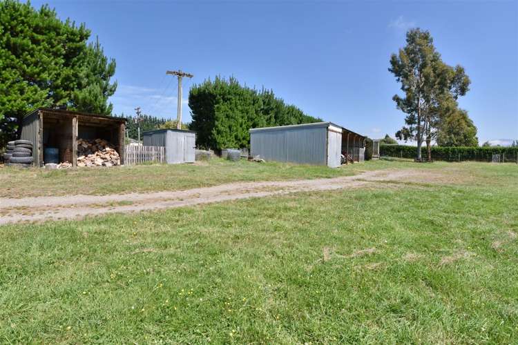 592 Mount Thomas Road Fernside_15