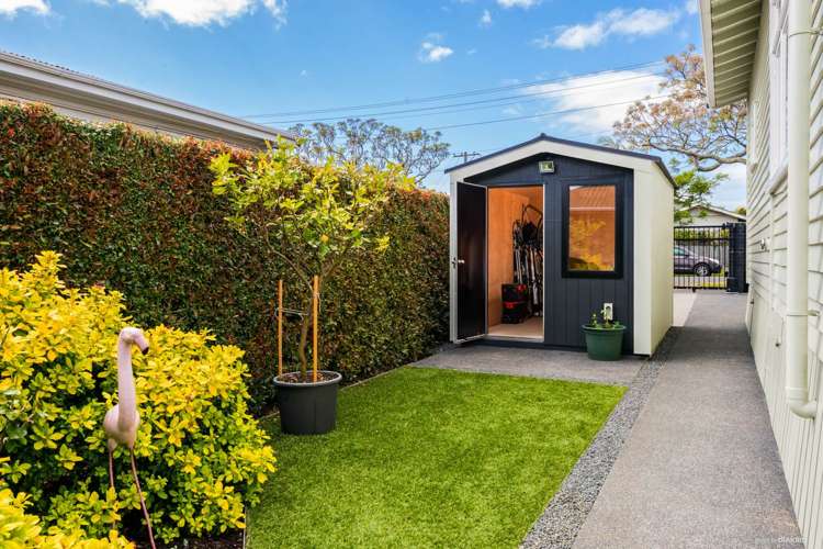 17 Miller Street Point Chevalier_12