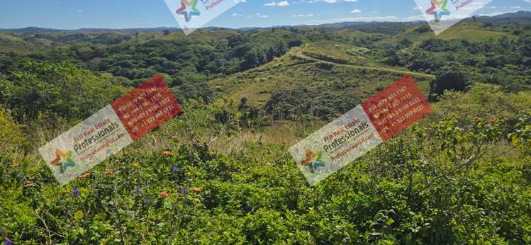 Address withheld Sigatoka_21