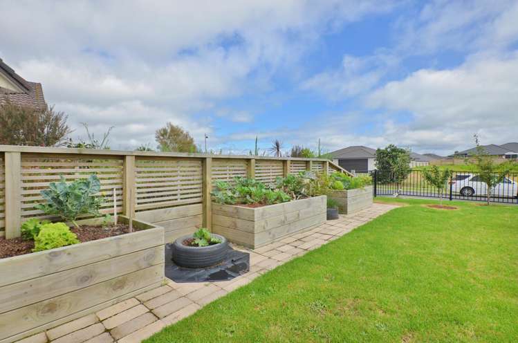 2 Wai Place One Tree Point_9