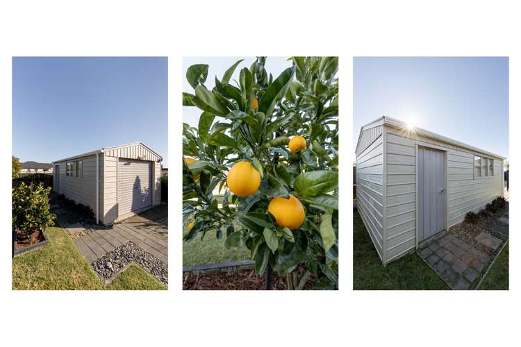 120 Evans Road Papamoa_18