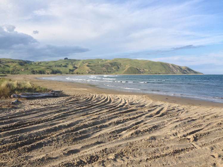 21 Shoal Beach Road Aramoana_5