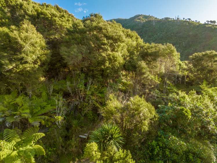 12 Brough Place Anakiwa and Surrounds_17