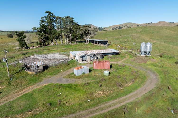 1072 Tahuna Road Waiterimu_5