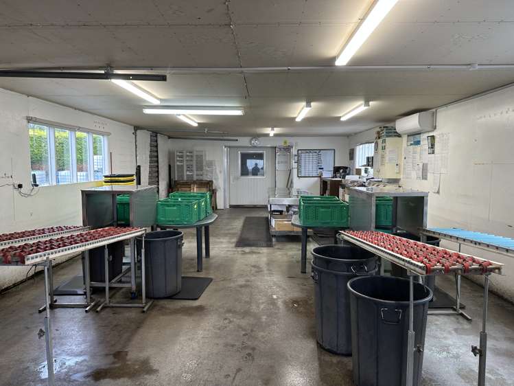 116 Wingatui Road Mosgiel_13