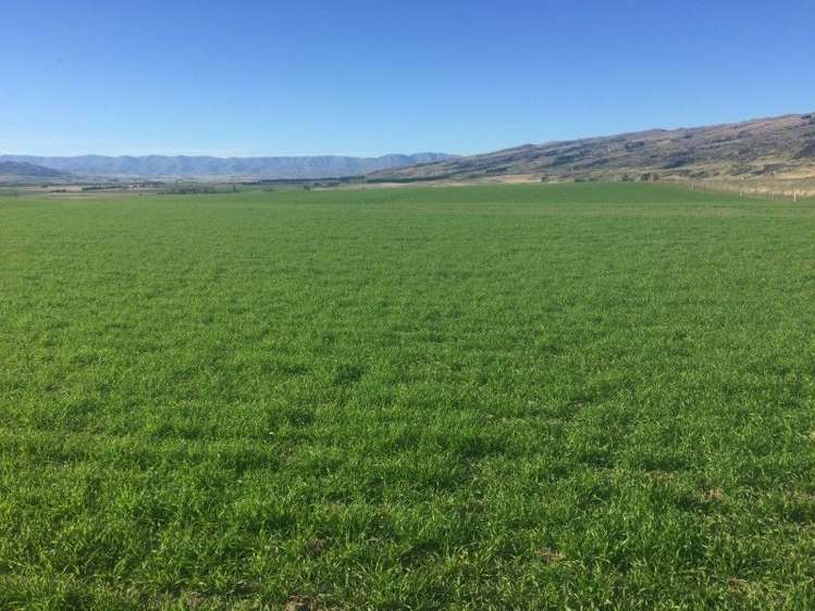 232 Ida Valley Back Road Oturehua_0