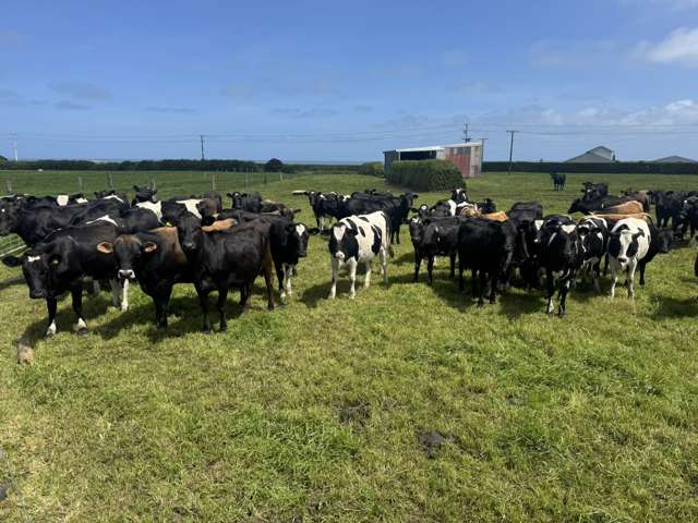 4782 South Road Opunake_2