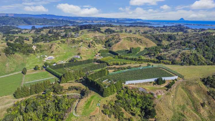 443C State Highway 2 Opotiki_9