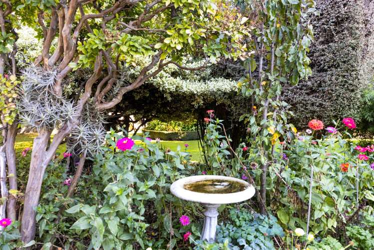 8 Whitney Street Blenheim Central_9