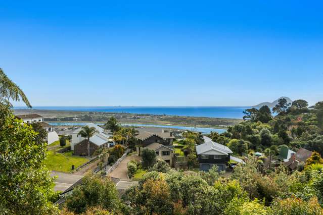 5 Camelia Lane Whakatane_1